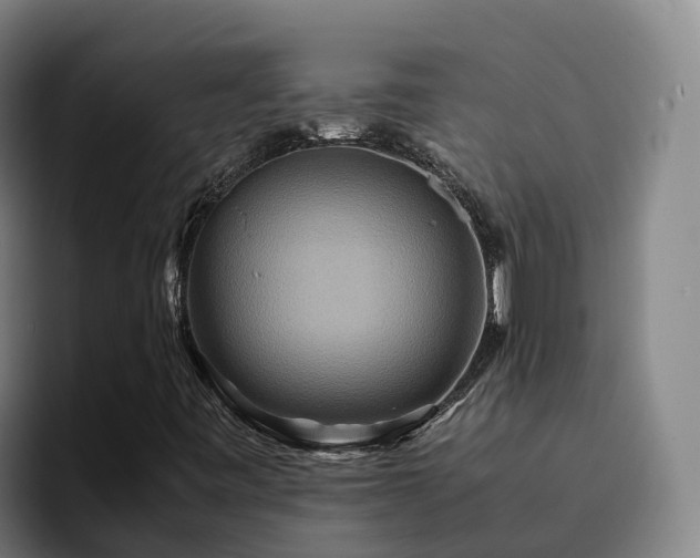 X0000094951443200712061242