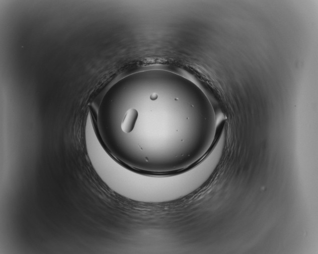 X0000094951444200712061242