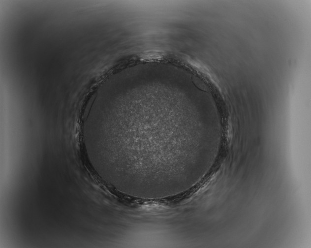 X0000094951445200712061242