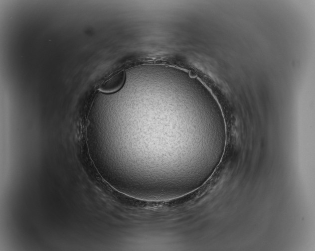 X0000094951447200712061242