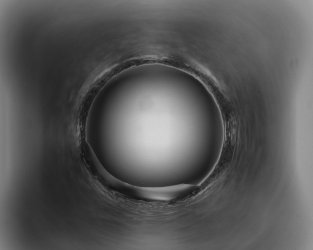 X0000094951448200712061242