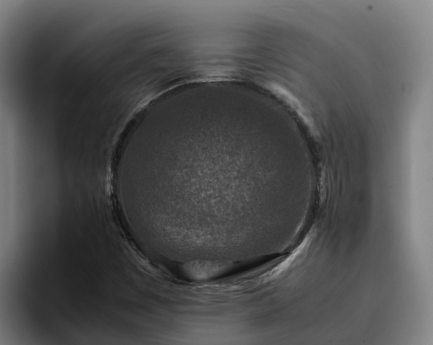 X0000094951449200712061242