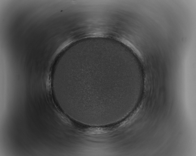 X0000094951450200712061242