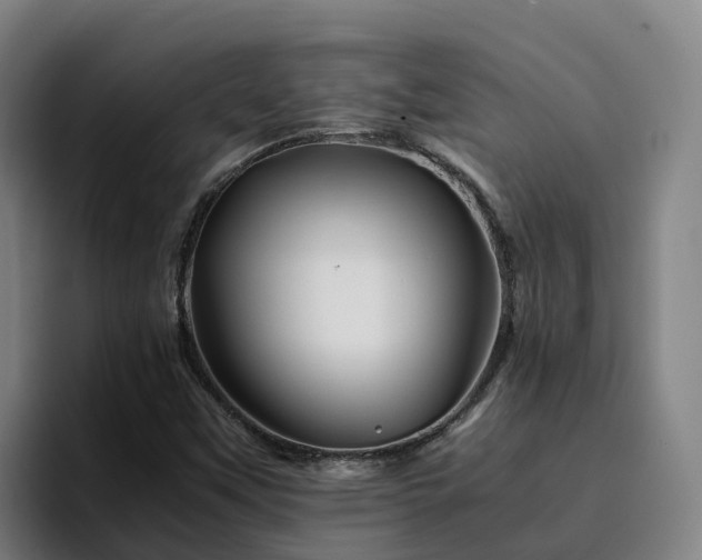 X0000094951451200712061242