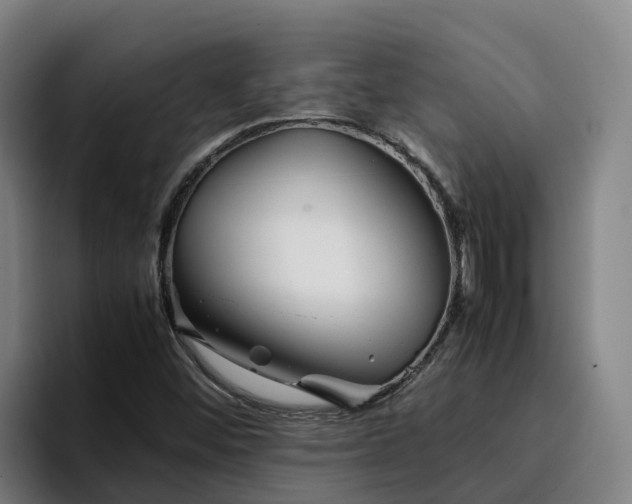 X0000094951452200712061242