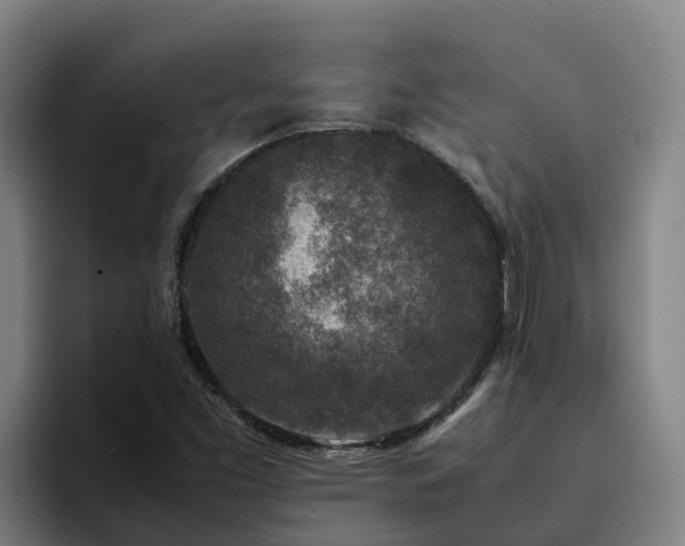 X0000094951453200712061242