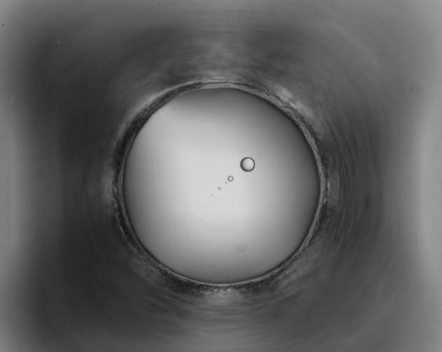 X0000094951454200712061241