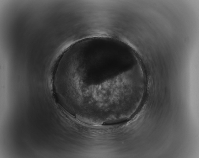 X0000094951455200712061241