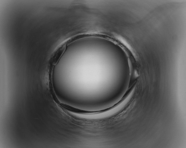 X0000094951456200712061241