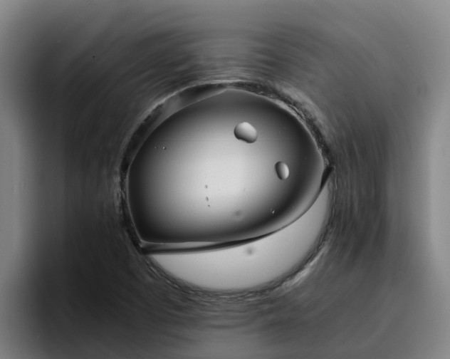 X0000094951457200712061241