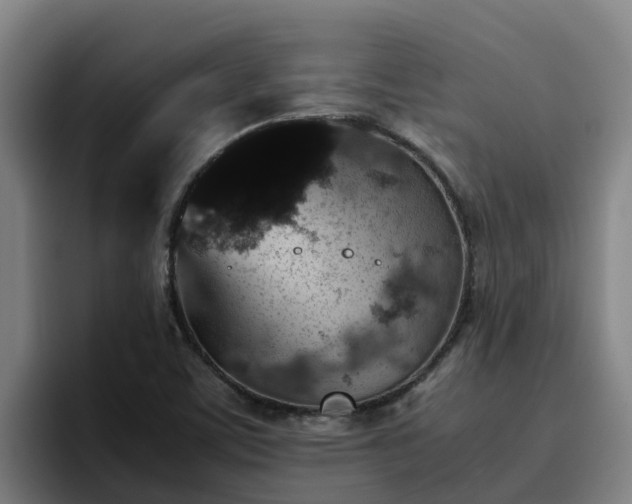 X0000094951459200712061241