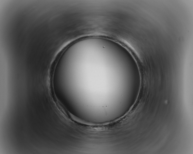 X0000094951460200712061241