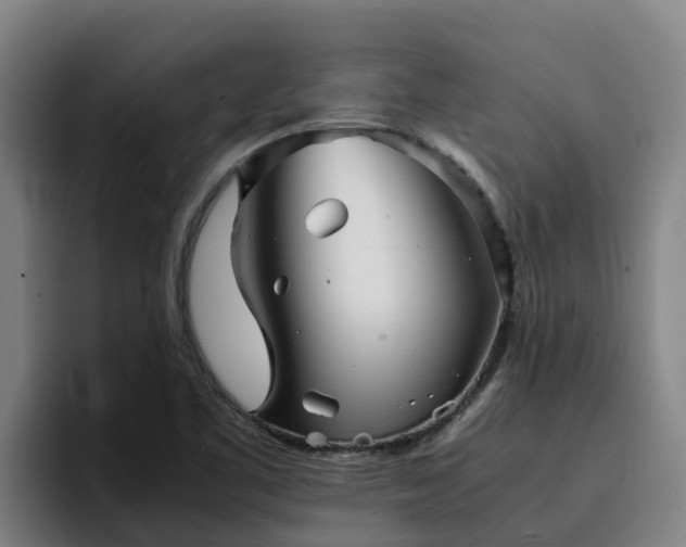 X0000094951461200712061241