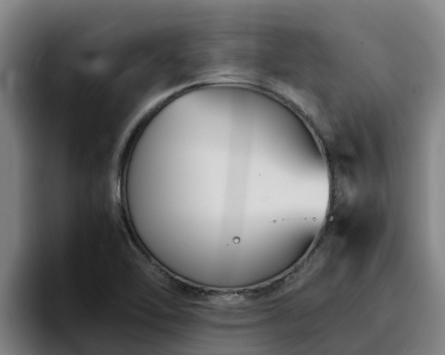 X0000094951462200712061241