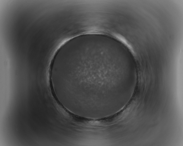 X0000094951463200712061241