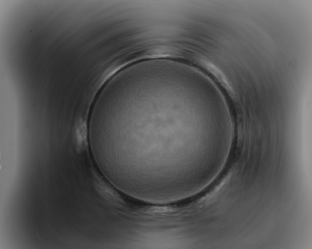 X0000094951465200712061241