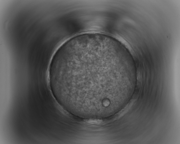 X0000094951466200712061241