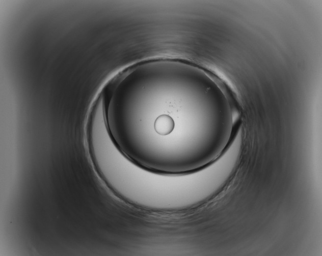 X0000094951468200712061241