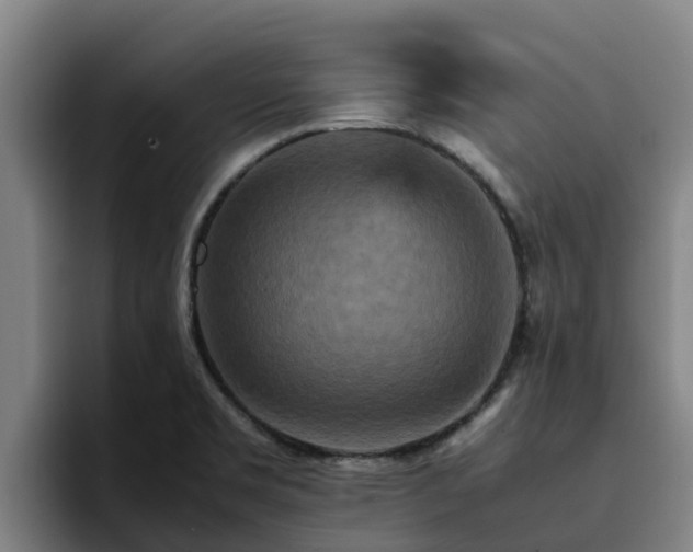 X0000094951469200712061241