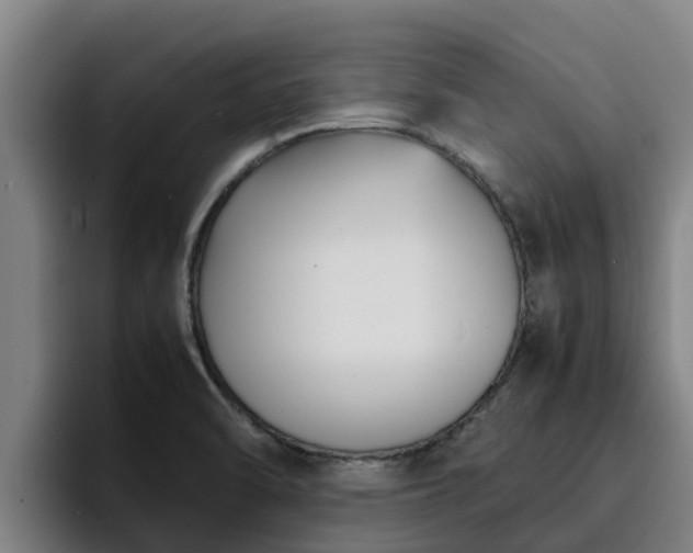 X0000094951470200712061241