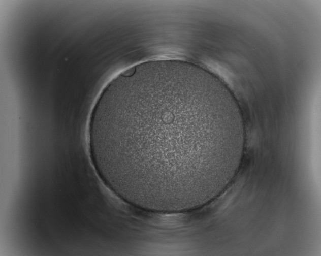 X0000094951471200712061241