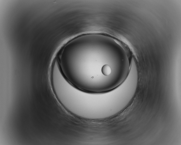 X0000094951472200712061241