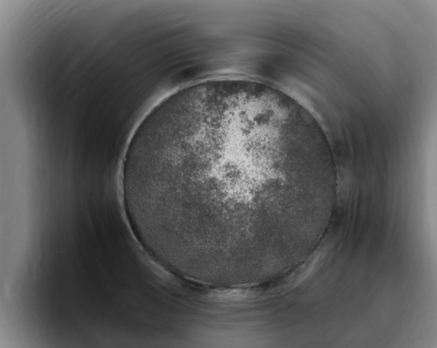 X0000094951474200712061241