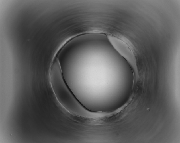 X0000094951476200712061241