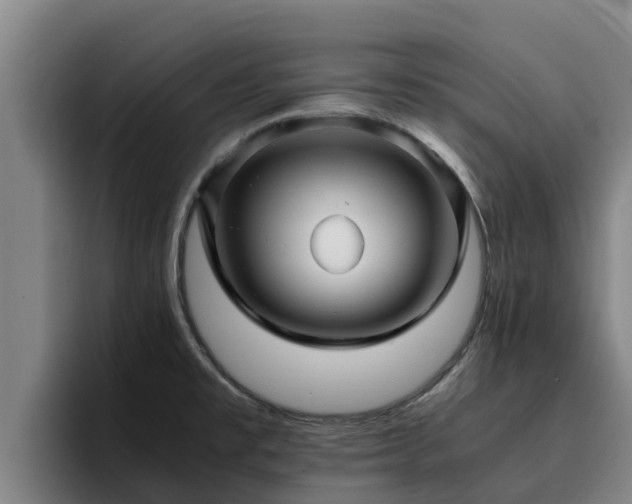 X0000094951477200712061241