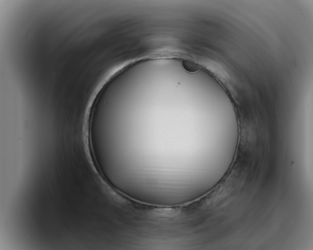 X0000094951478200712061241