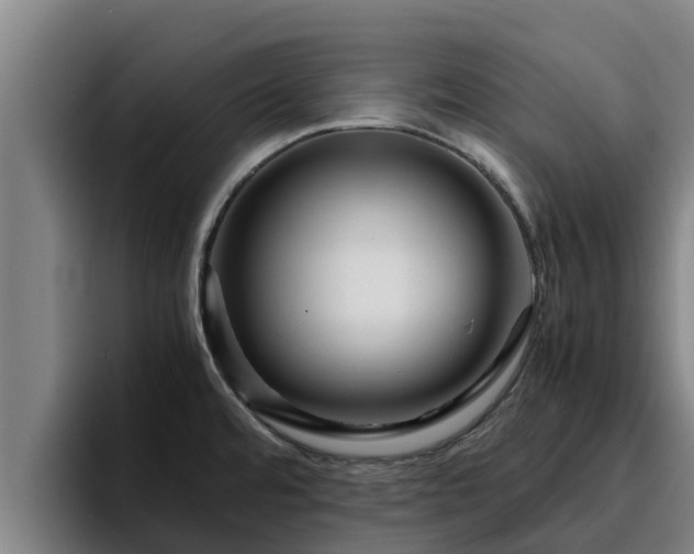 X0000094951480200712061241