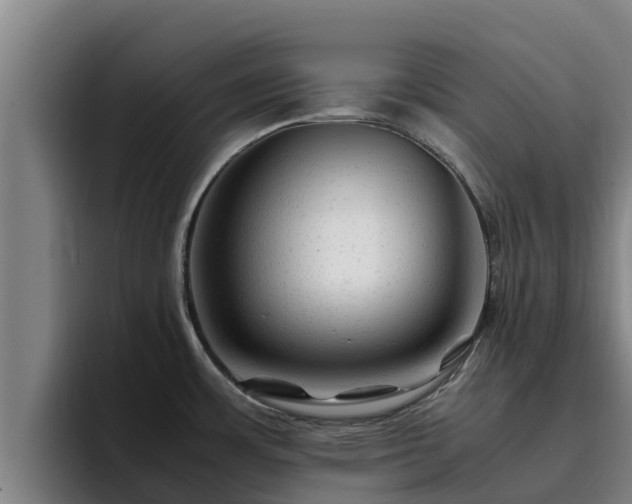 X0000094951483200712061241