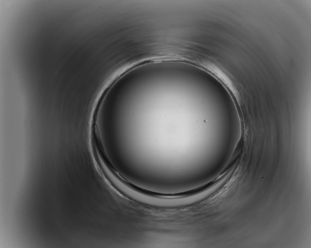 X0000094951485200712061241