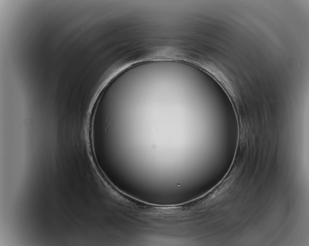 X0000094951486200712061241