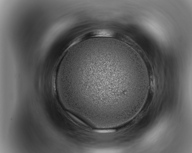 X0000094951487200712061241