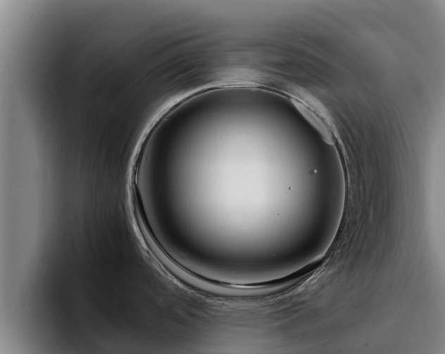 X0000094951488200712061241