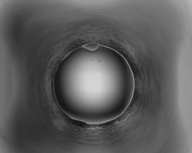 X0000094951489200712061240