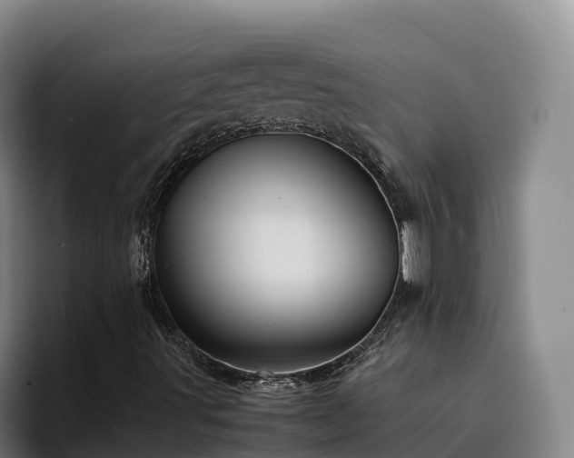 X0000094951491200712061240