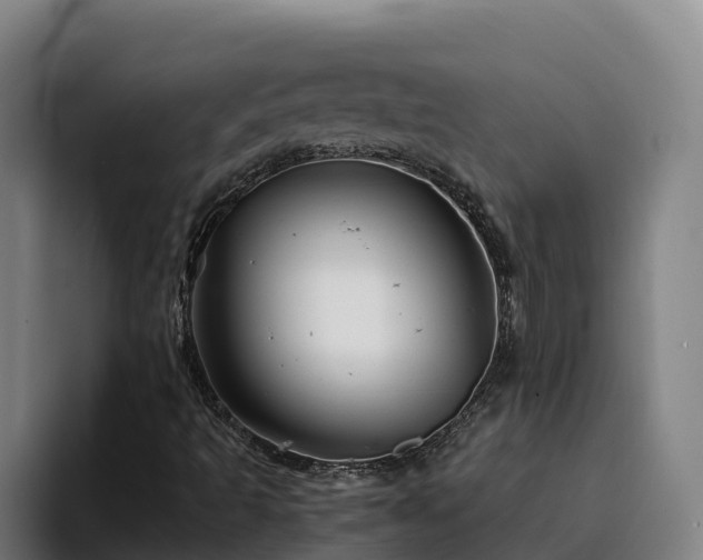 X0000094951493200712061240