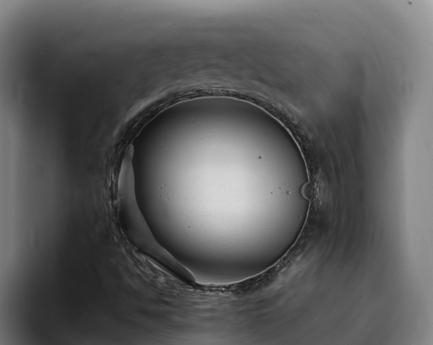 X0000094951494200712061240