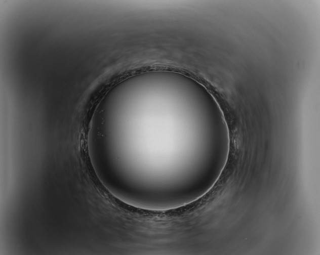 X0000094951495200712061241