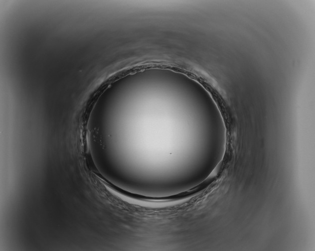 X0000094951496200712061241