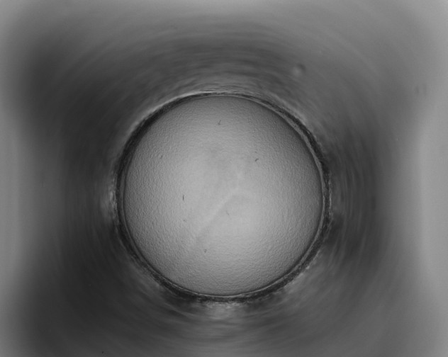 X0000094951498200712061241