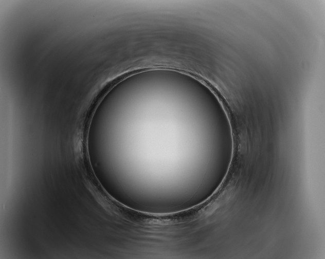 X0000094951499200712061241