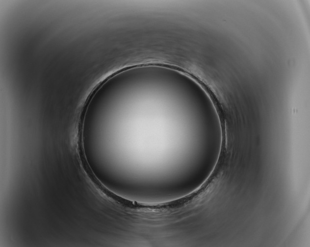 X0000094951500200712061241