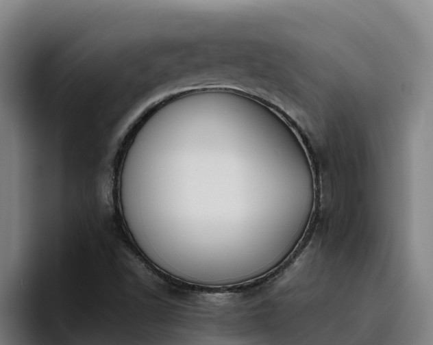 X0000094951502200712061241