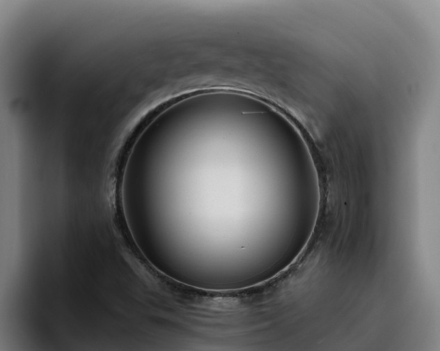 X0000094951503200712061241