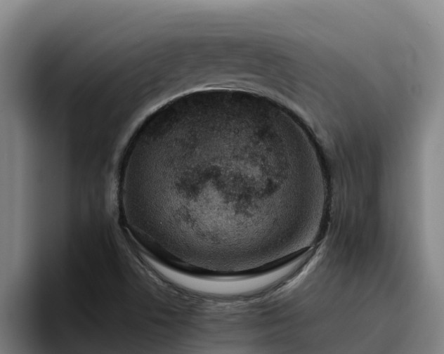 X0000094951506200712061241