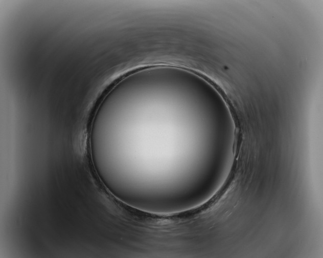 X0000094951507200712061241