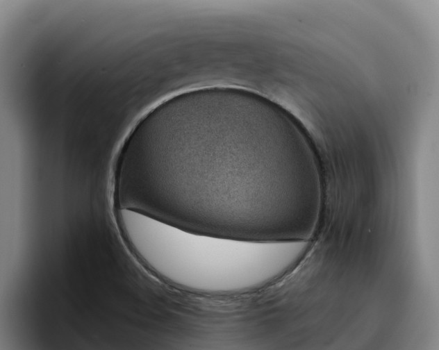 X0000094951508200712061241